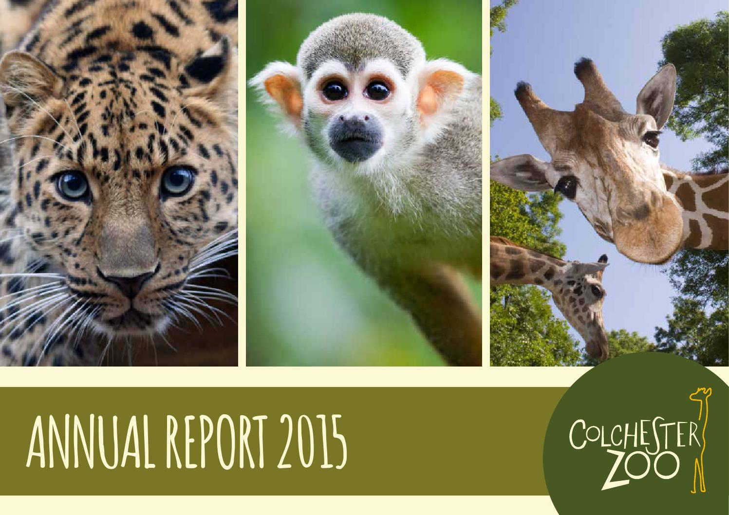 Colchester Zoo Annual Report 2015 by Colchester Zoo - Issuu