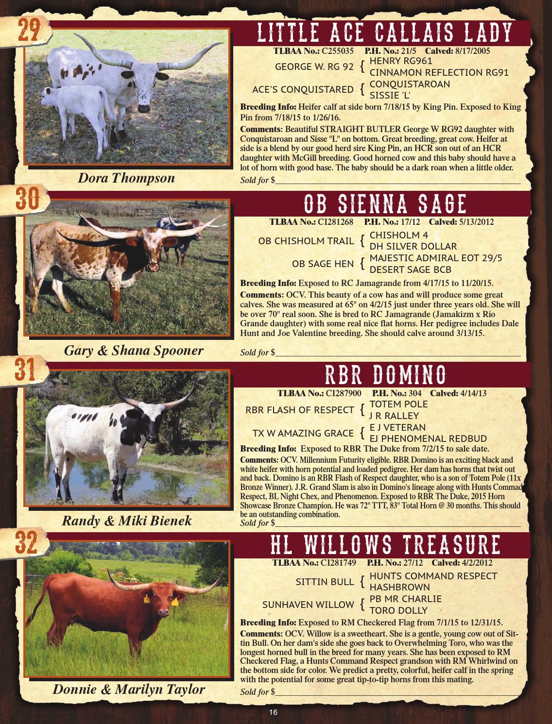 Cattle Baron's Premier Longhorn Sale Catalog by Texas Longhorn Trails