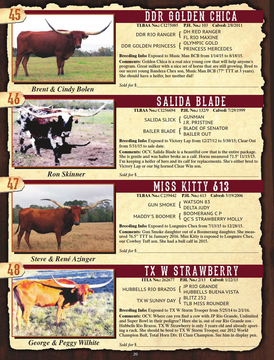 Cattle Baron's Premier Longhorn Sale Catalog by Texas Longhorn Trails