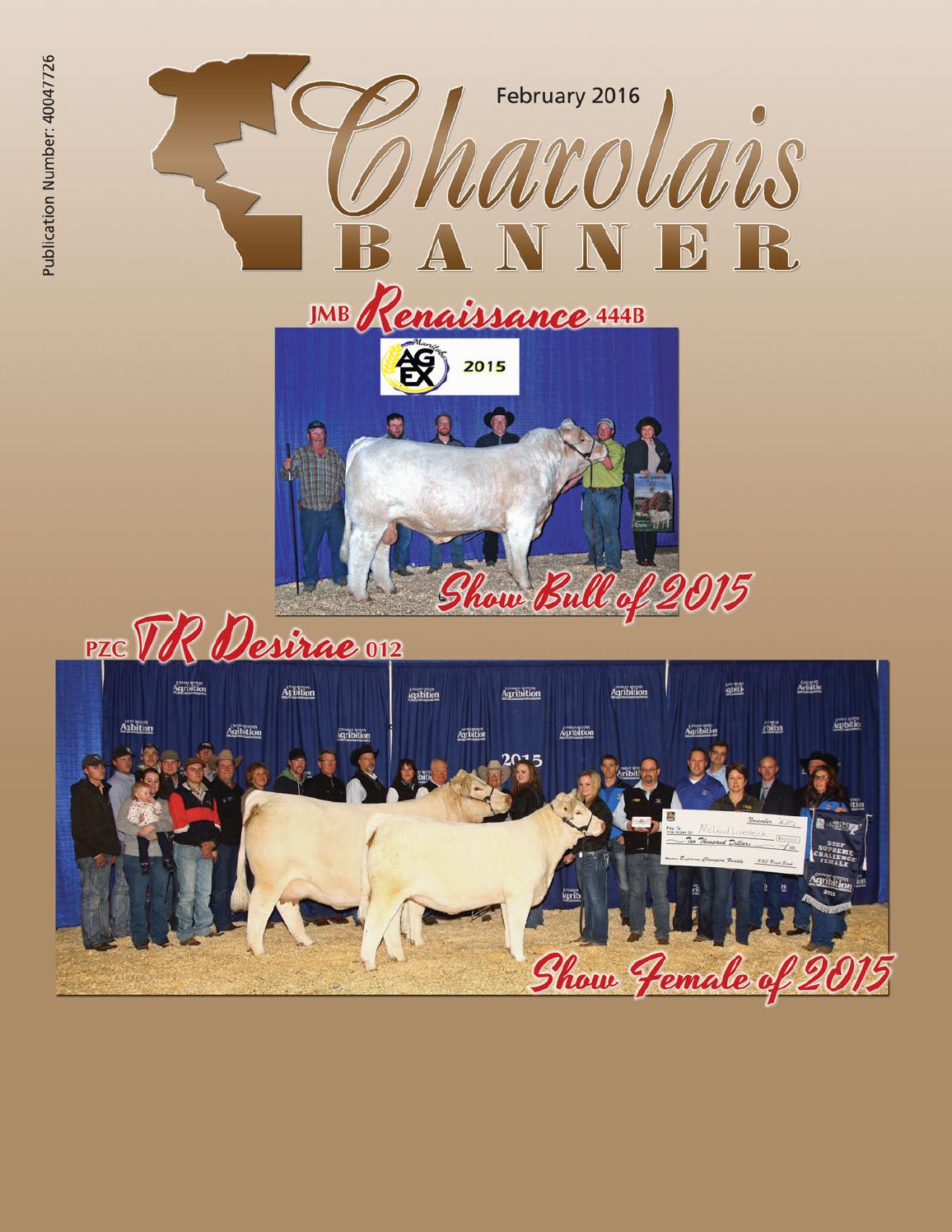 Feb 2016 Charolais Banner Web By Charolais Banner Issuu