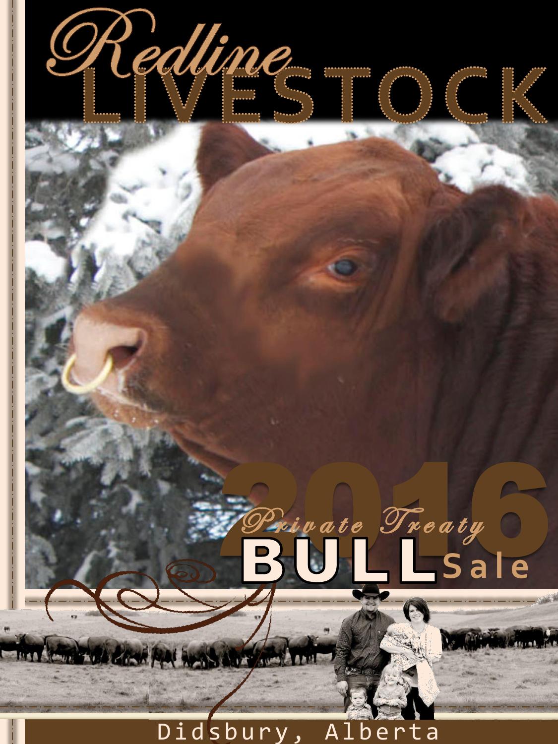Redline Livestock 2016 Bull Sale Catalog by Redline Livestock Issuu