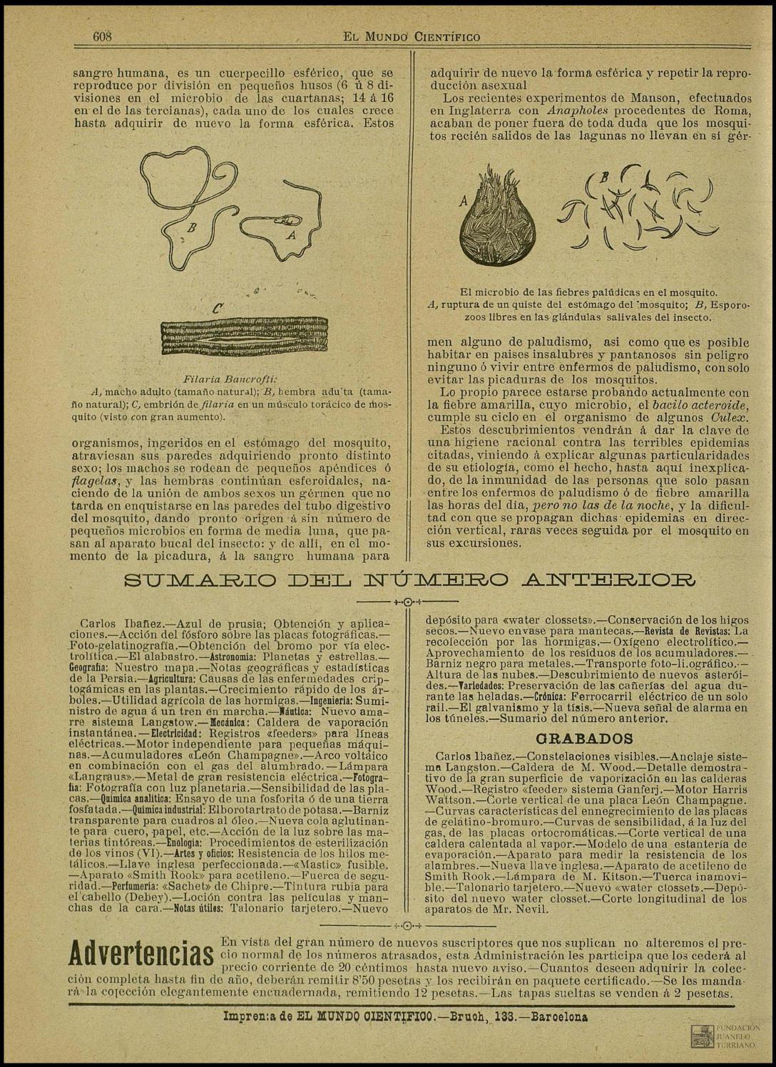 que son las tercianas en adultos que son las tercianas en adultos