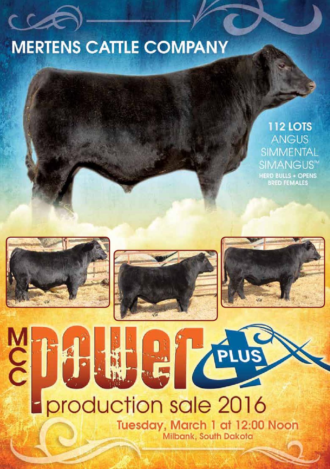 2016 Mertens Cattle Sale Catalog by Ranch House Designs Issuu