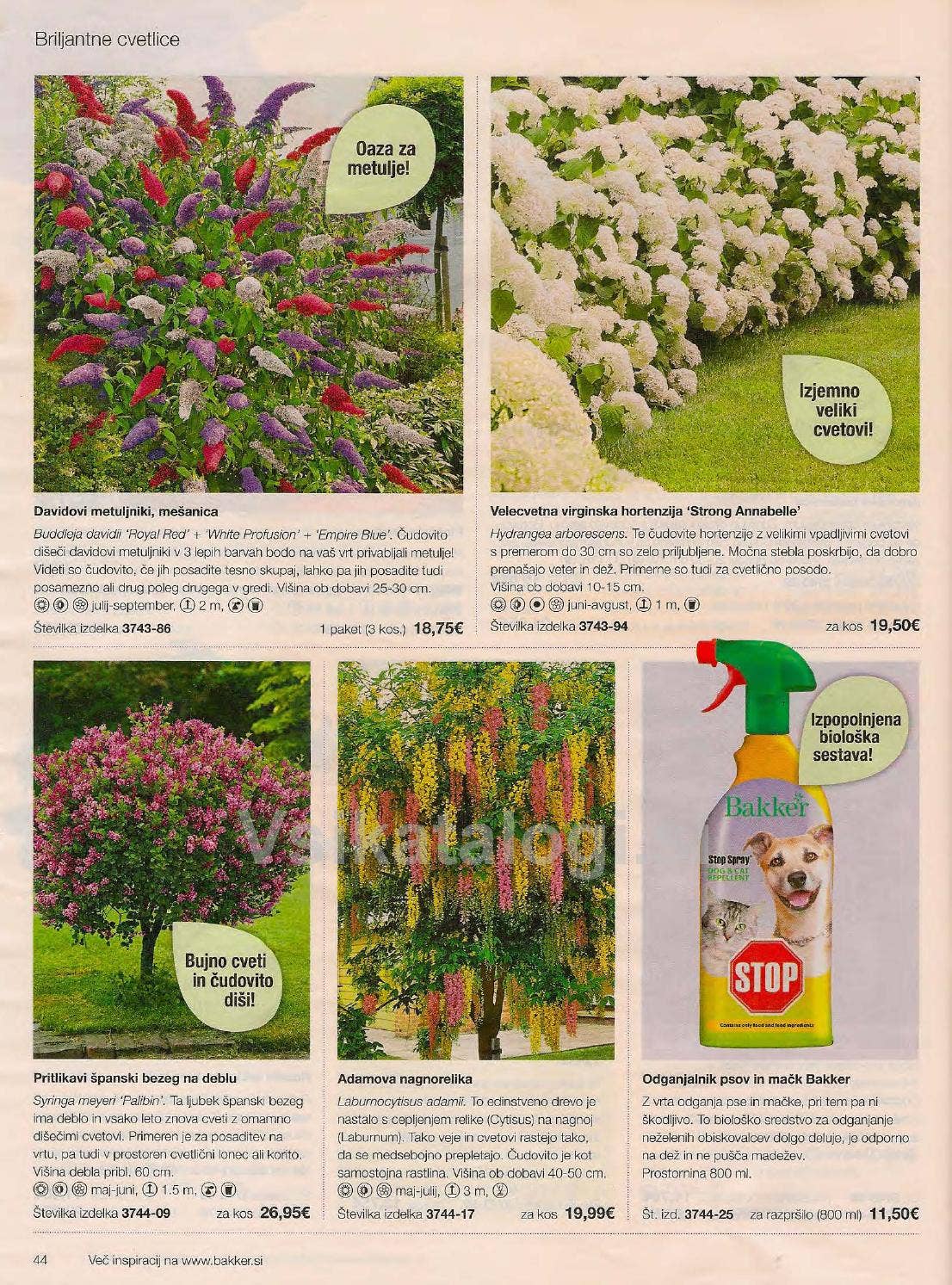 Bakker katalog pomlad 2016 by Vsikatalogi.si Issuu