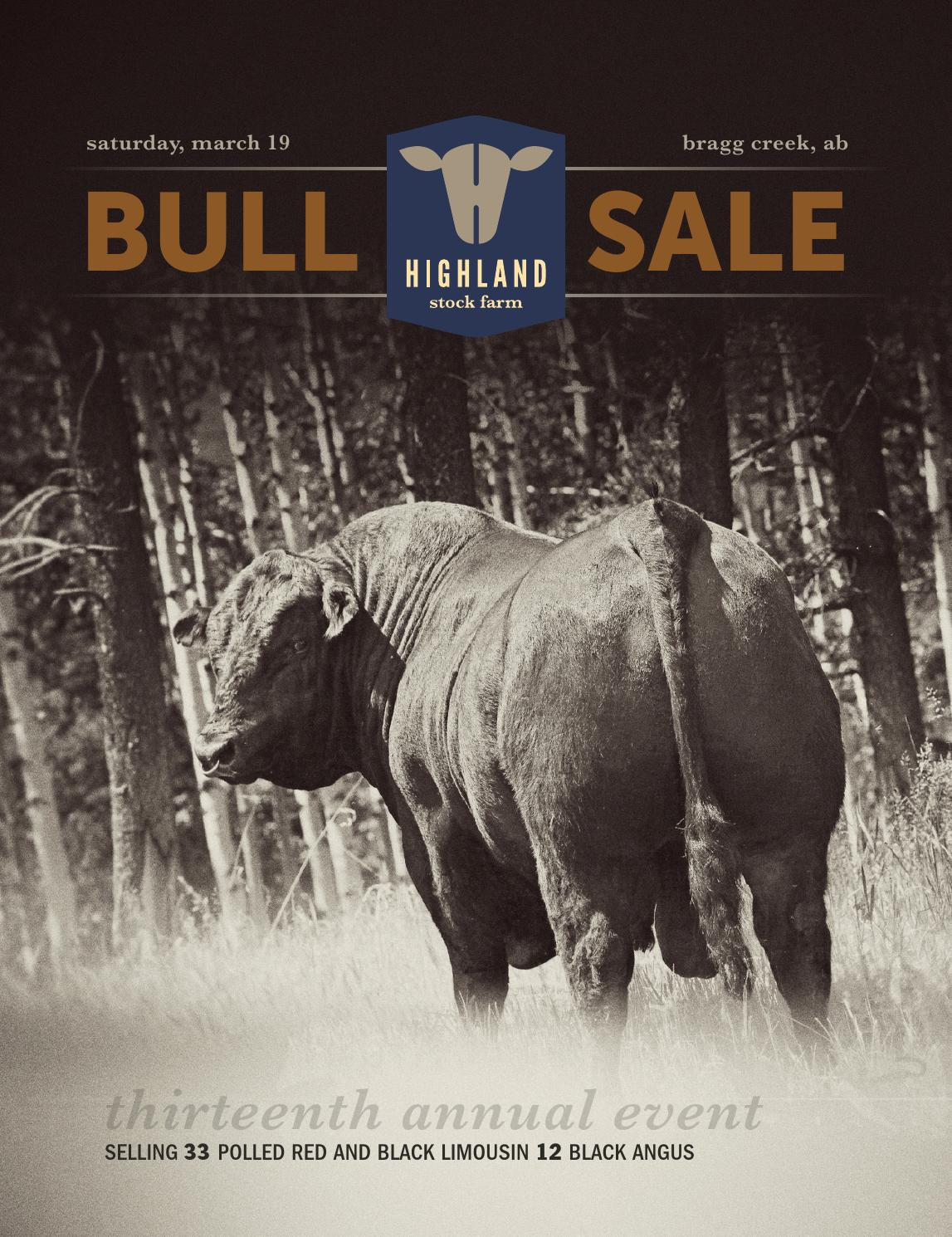 Highland Stock Farms 2016 Bull Sale by Catalogs by Top Stock Issuu