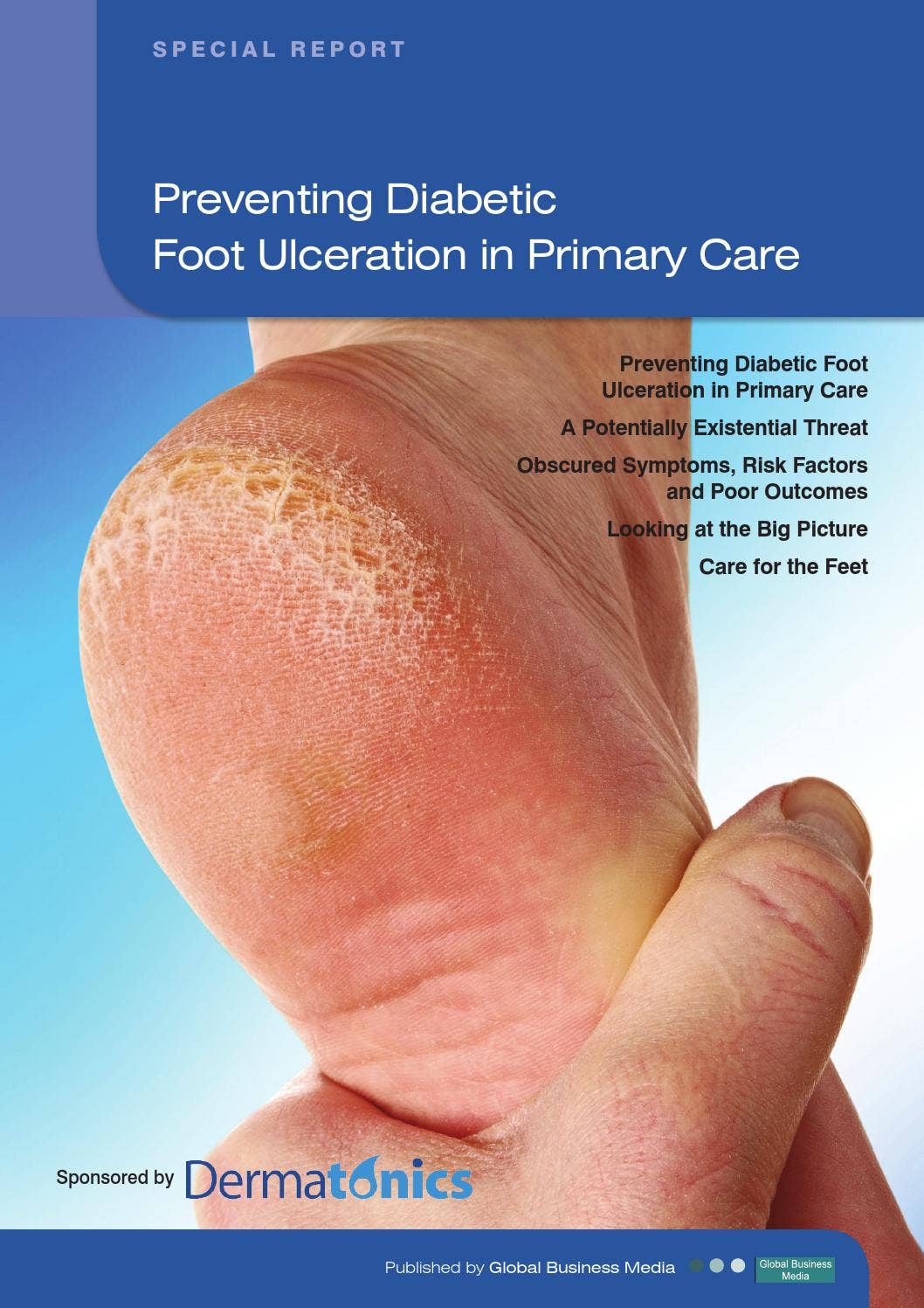 Primary Care Reports – Preventing Diabetic Foot Ulceration in Primary ...