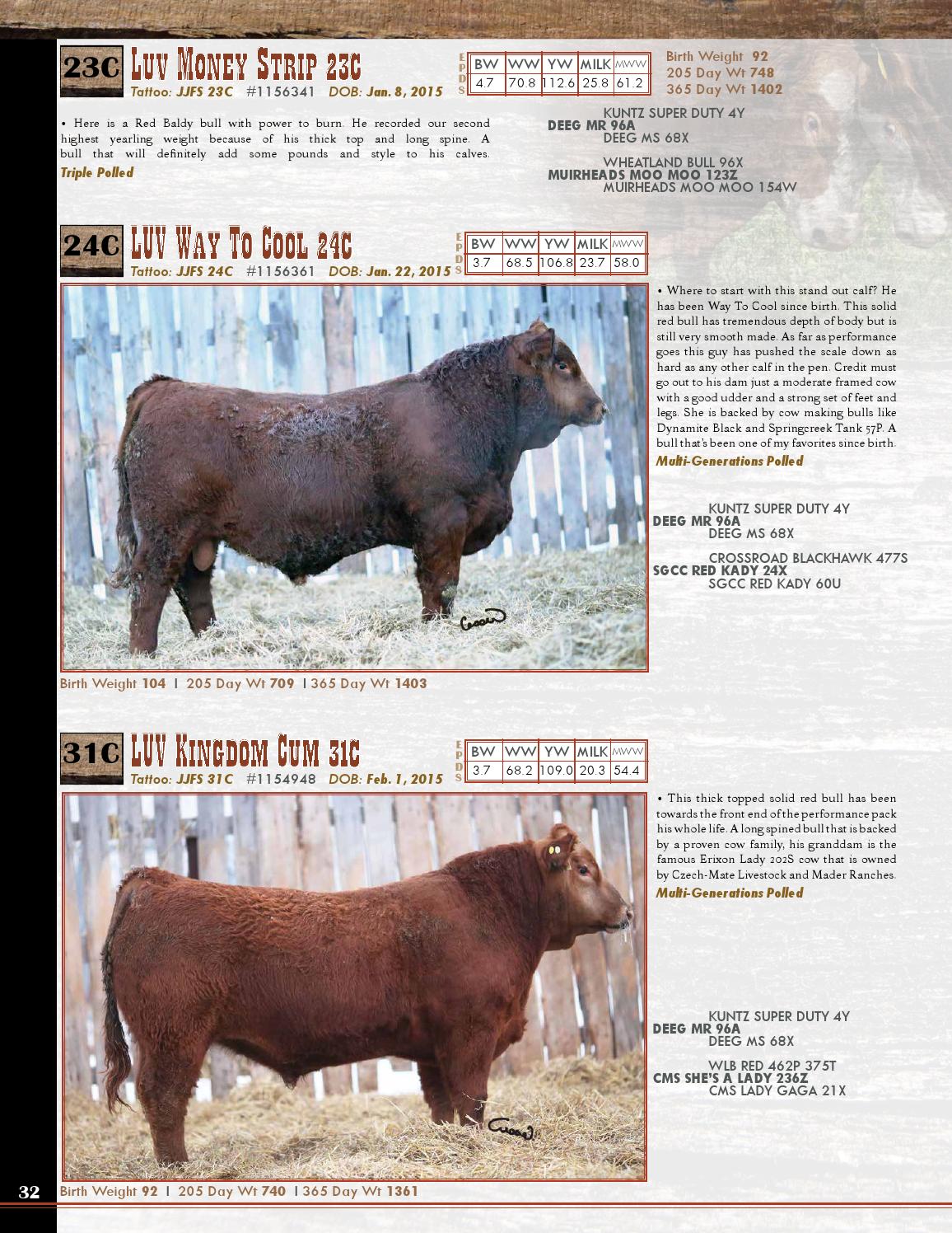 Brandl Cattle Co And Luv N It Cattle Company 16 Bull Sale By Cassie Dorran Issuu Brandl Cattle Co And Luv N It Cattle Company 16 Bull Sale By Cassie Dorran Issuu