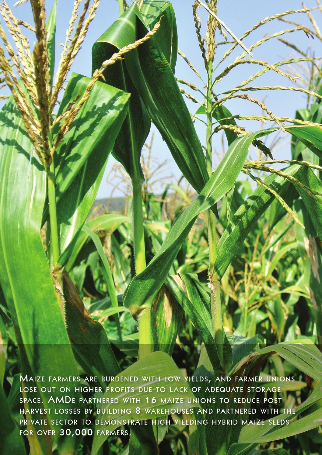 USAID Agribusiness Market Development in Ethiopia Magazine