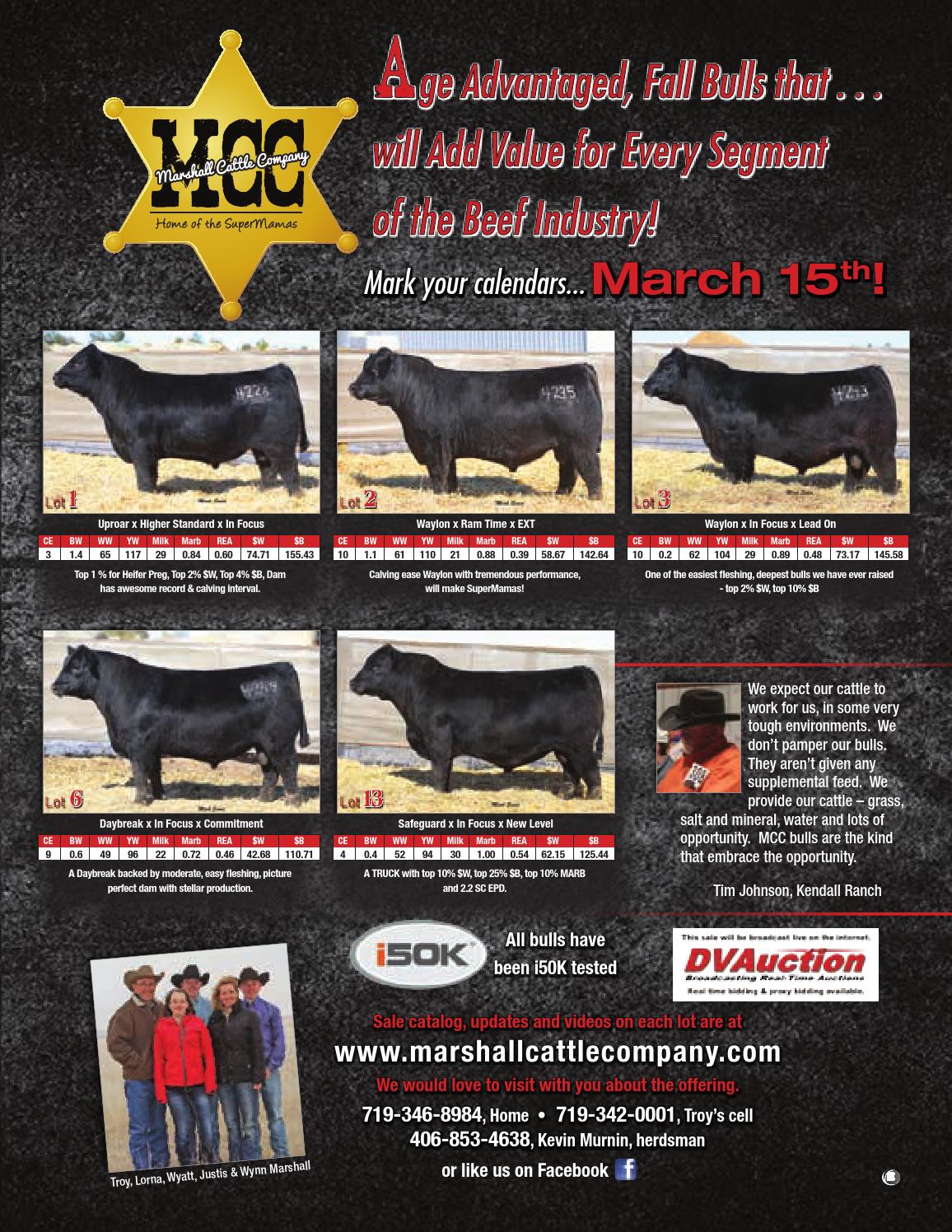 Marshall Cattle Co 2016 Bull Sale Flyer by Barbour Marketing Solutions