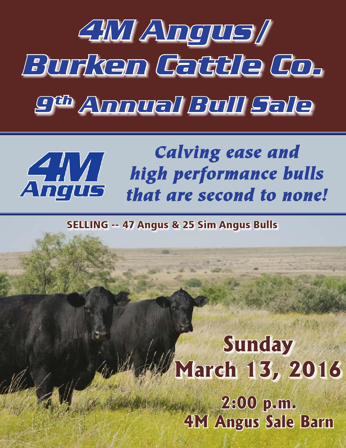 2016 4M Angus Bull Sale Catalog by Ranch House Designs Issuu