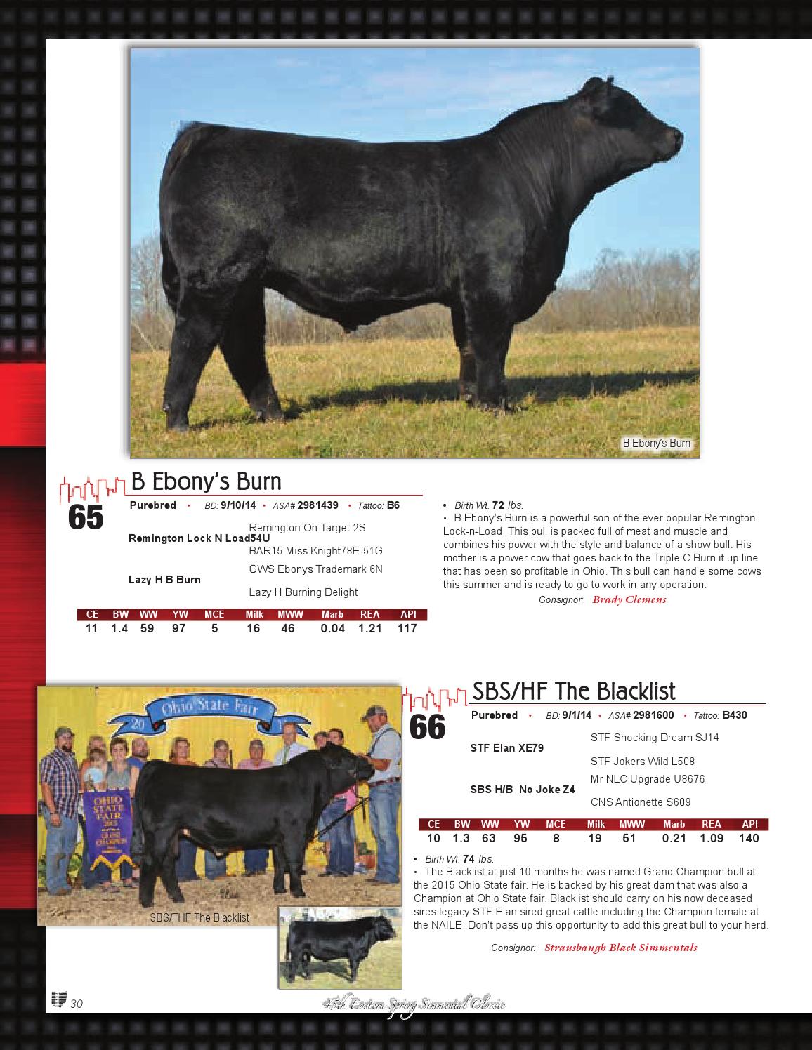 Ohio Beef Expo Simmental Sale 2016 by Barbour Marketing Solutions, LLC