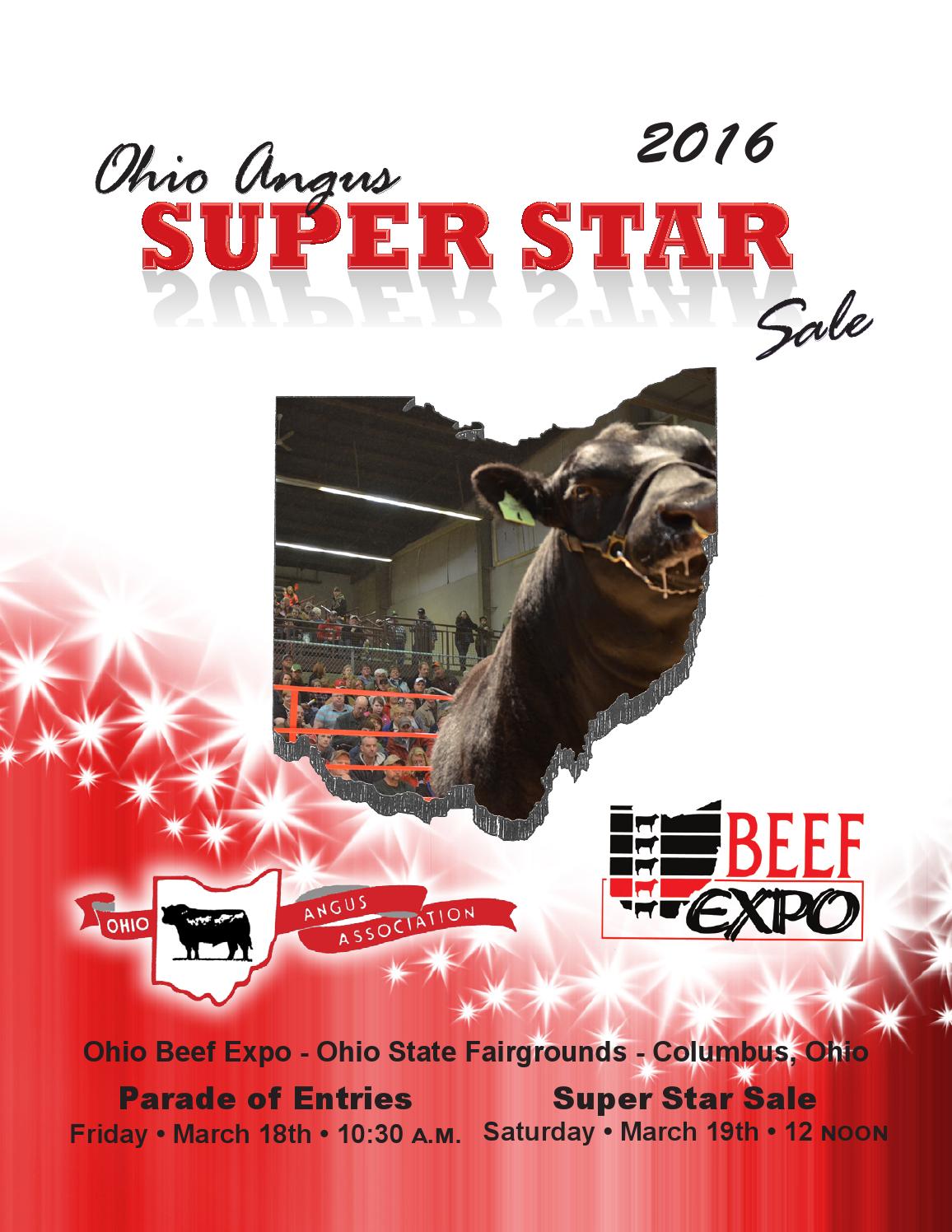 2016 Ohio Angus Super Star Sale Catalog by Dan Wells Issuu