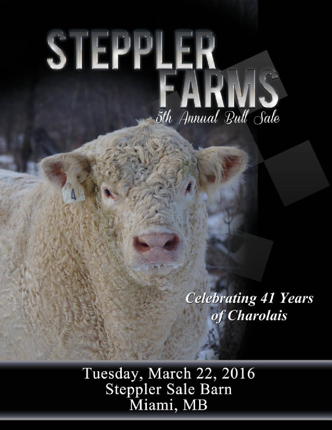 5th annual bull sale by Today's Publishing Inc. - Issuu
