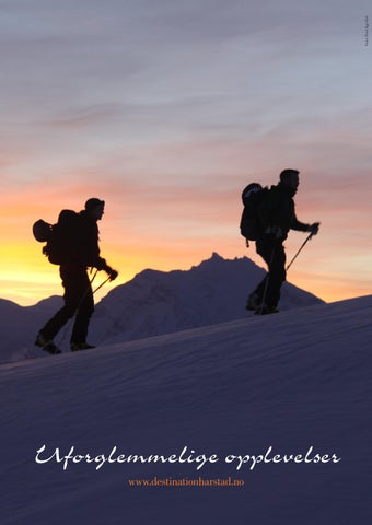 Amedia Ressurs Harstad 家具目录 · Norsk Destination Harstad 第 4 页