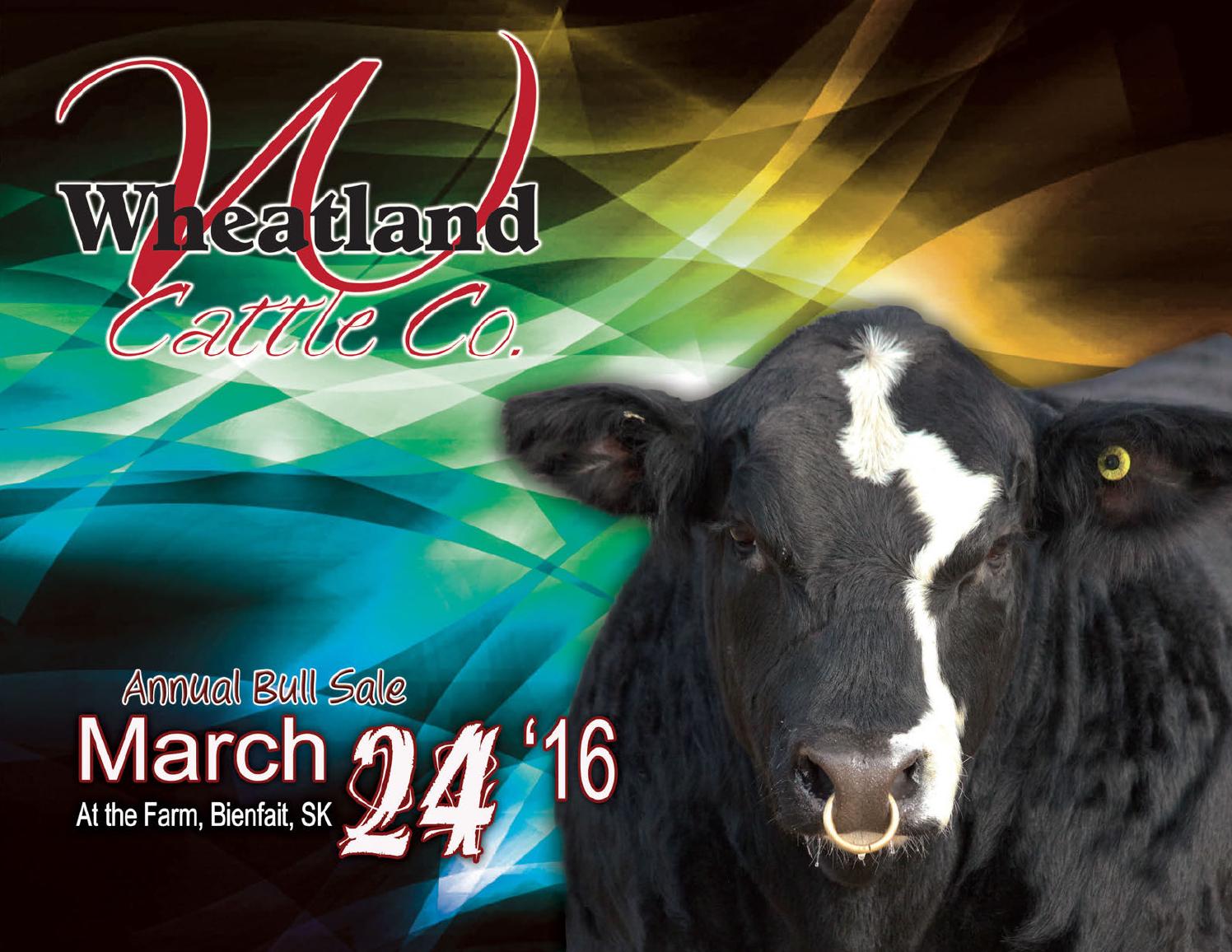 Wheatland Cattle Company Annual Bull Sale by Today's Publishing Inc