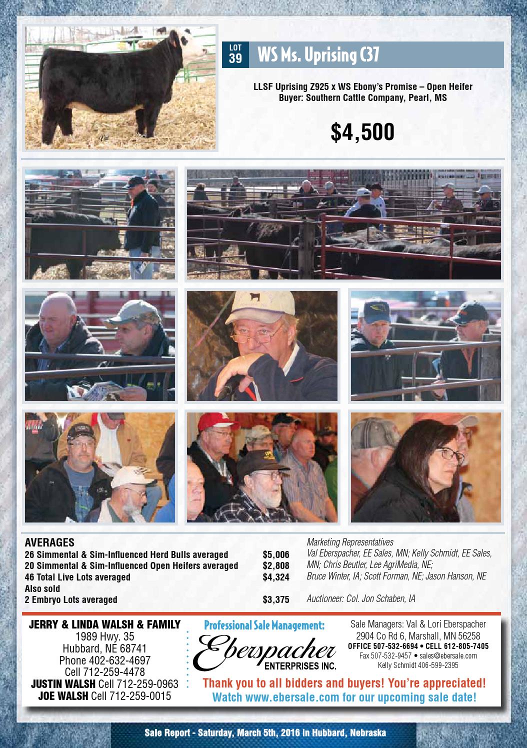 Walsh Simmental Sale Report 16 By Eberspacher Enterprises Issuu