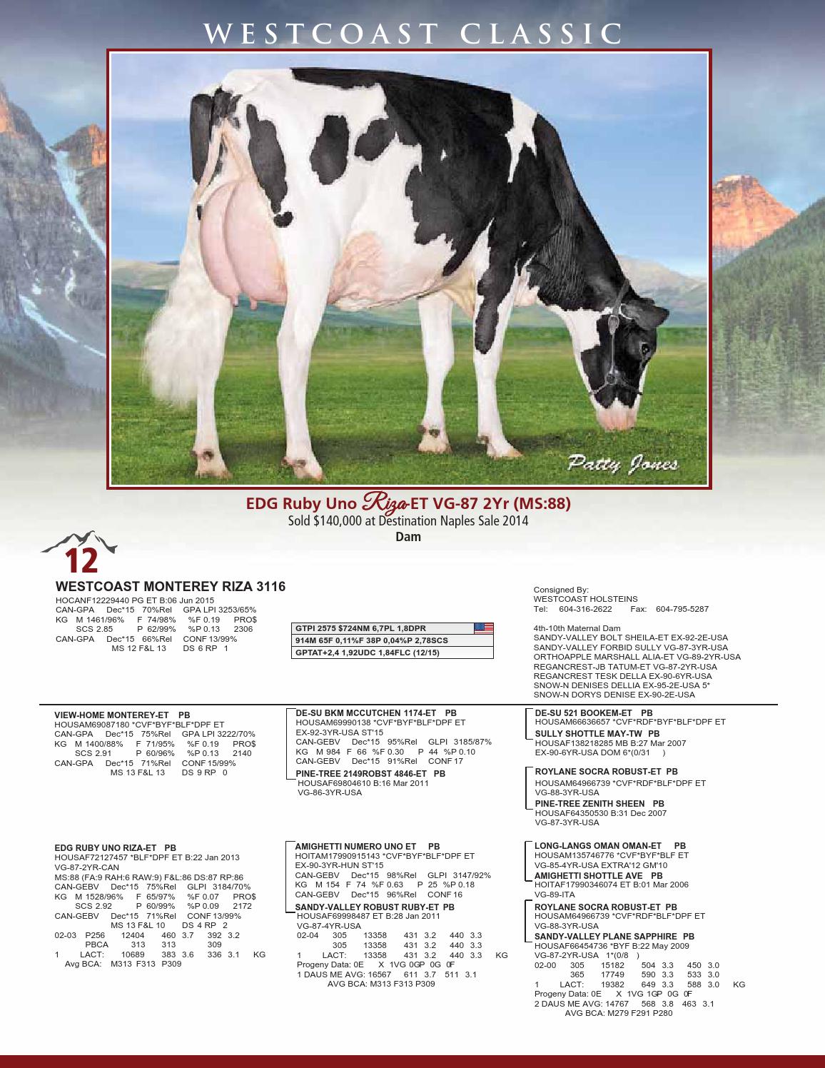 Westcoast Classic 16 By Cowsmopolitan Issuu