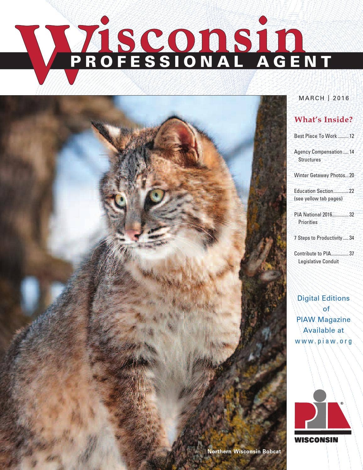 March 2016 Wisconsin Professional Agent by Professional Insurance ...