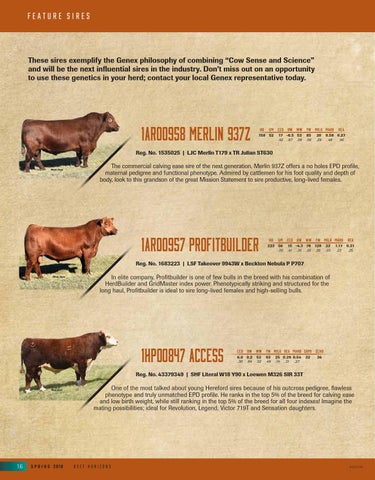 Genex Beef HORIZONS by GENEX - Issuu
