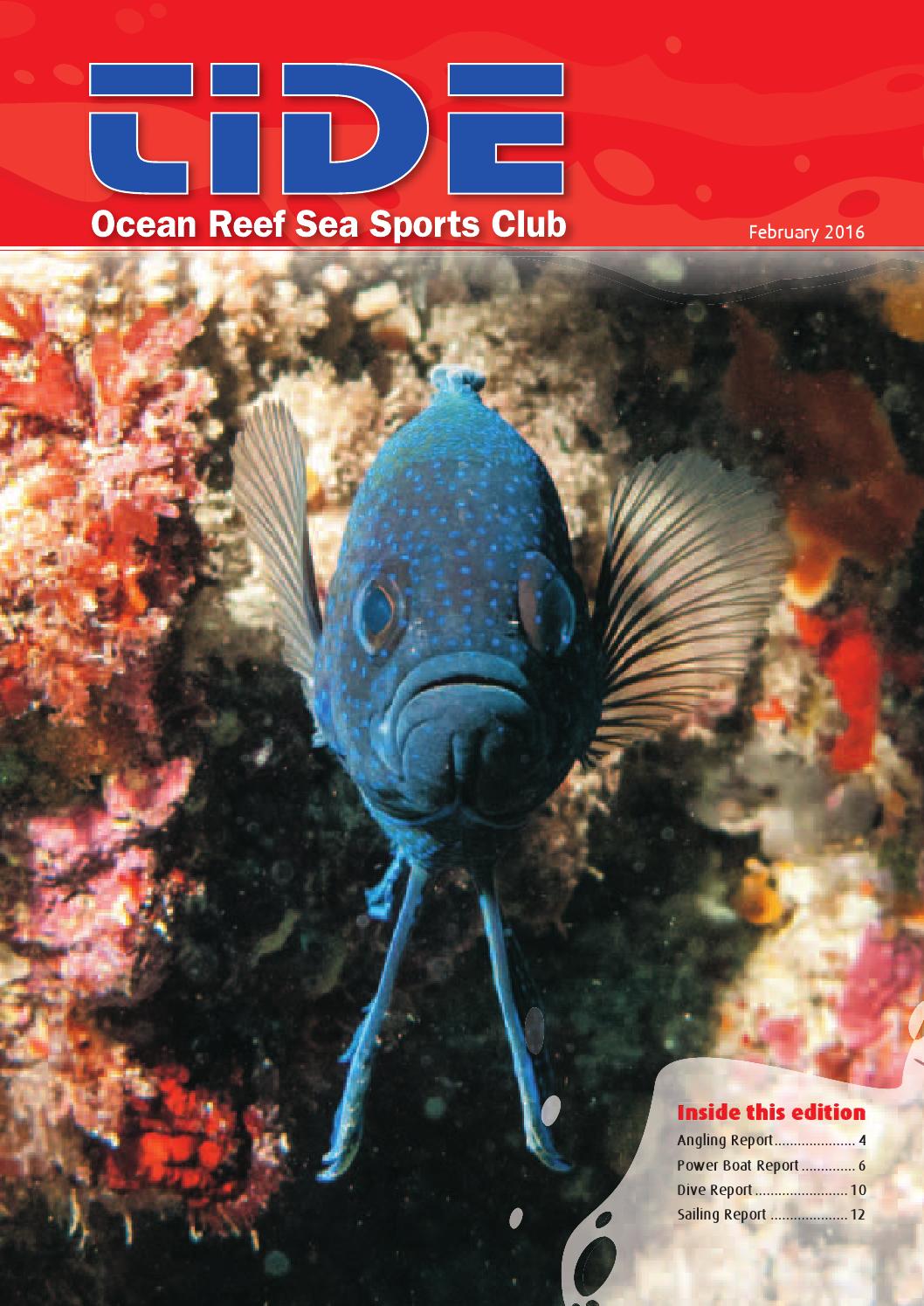 Ocean reef Sea Sports Club Tide magazine Feb 2016 by Ocean Reef Sea Sports Club Issuu