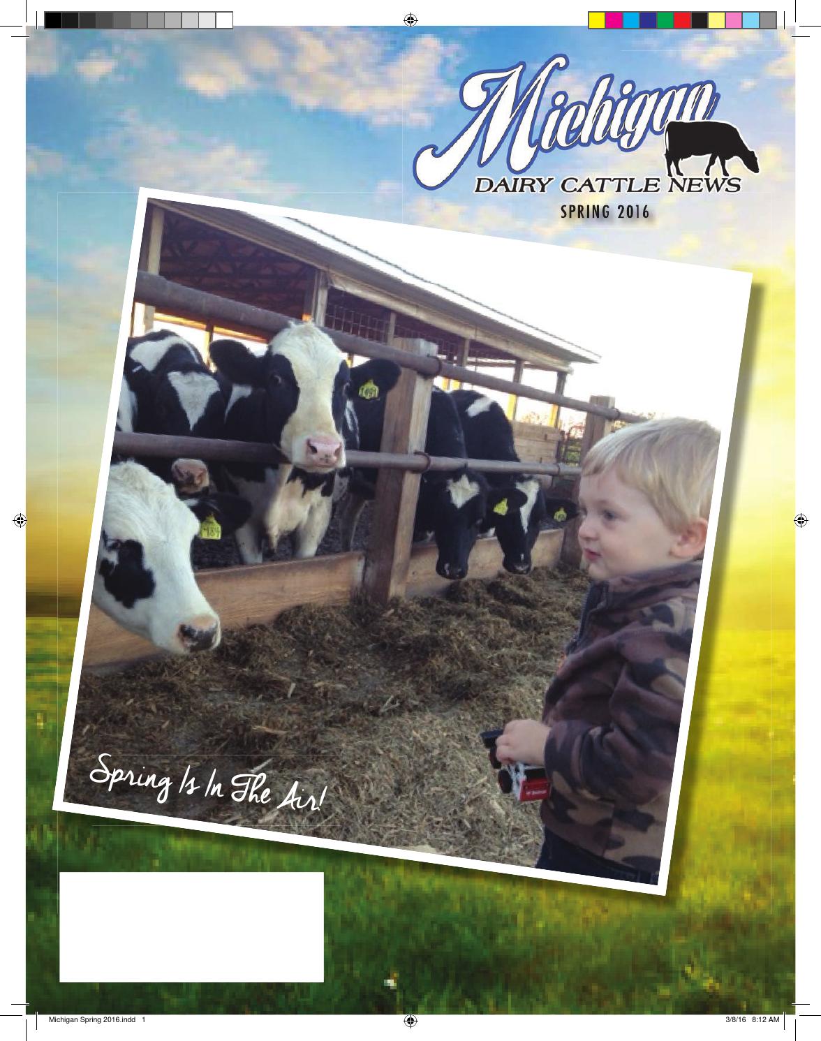 Michigan Dairy Cattle News 2016 Spring by Dairy Agenda Today Issuu