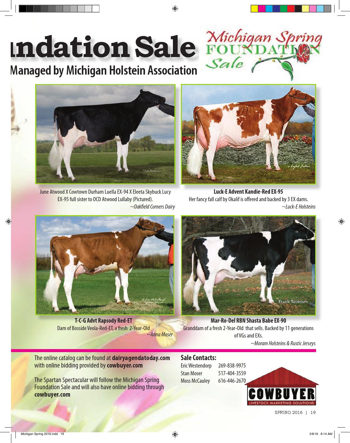 Michigan Dairy Cattle News 2016 Spring by Dairy Agenda Today Issuu