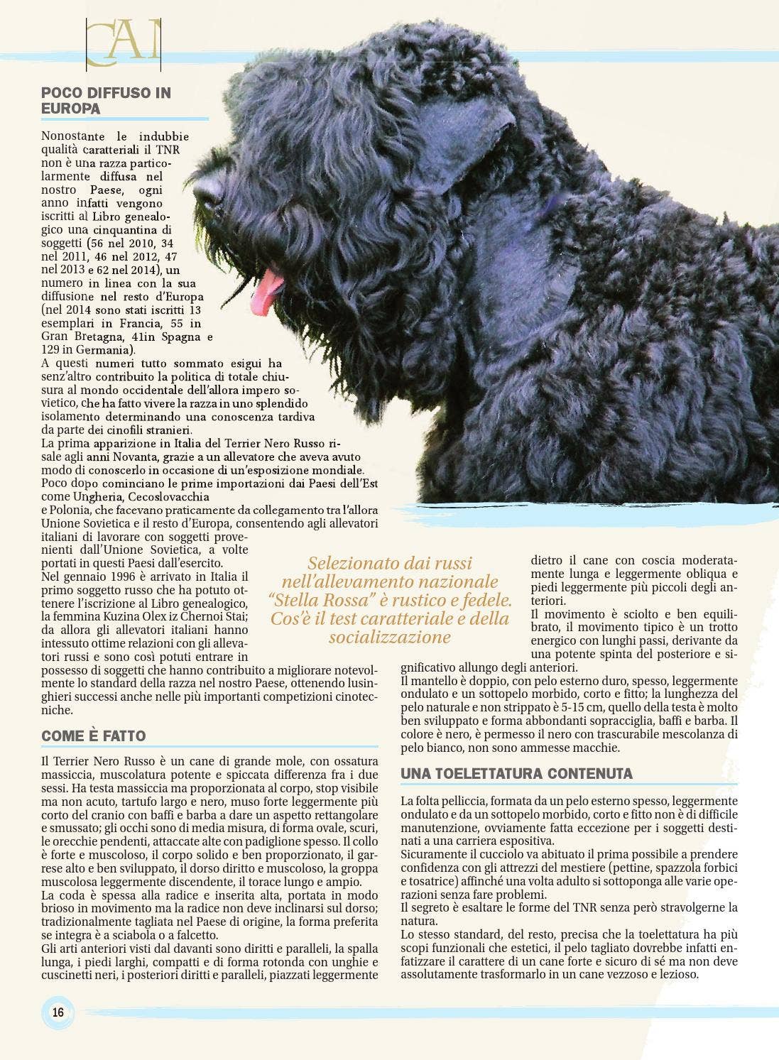 I Nostri Cani - dicembre 2015 by ENCI - Ente Nazionale Cinofilia Italiana -  Issuu, image size:1097x1493