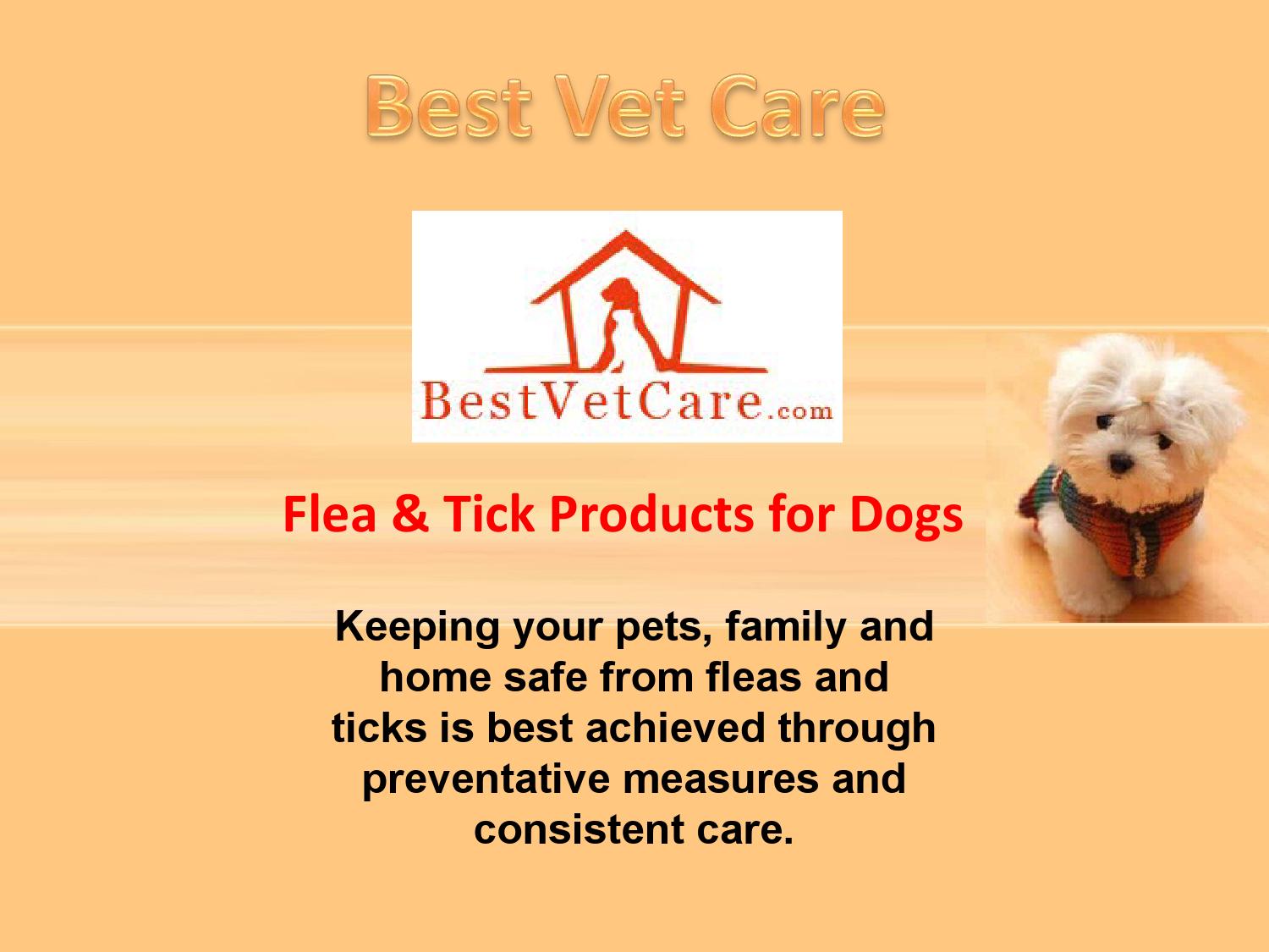 BestVetCare Flea and Ticks Prevention by BestVetCareus Issuu