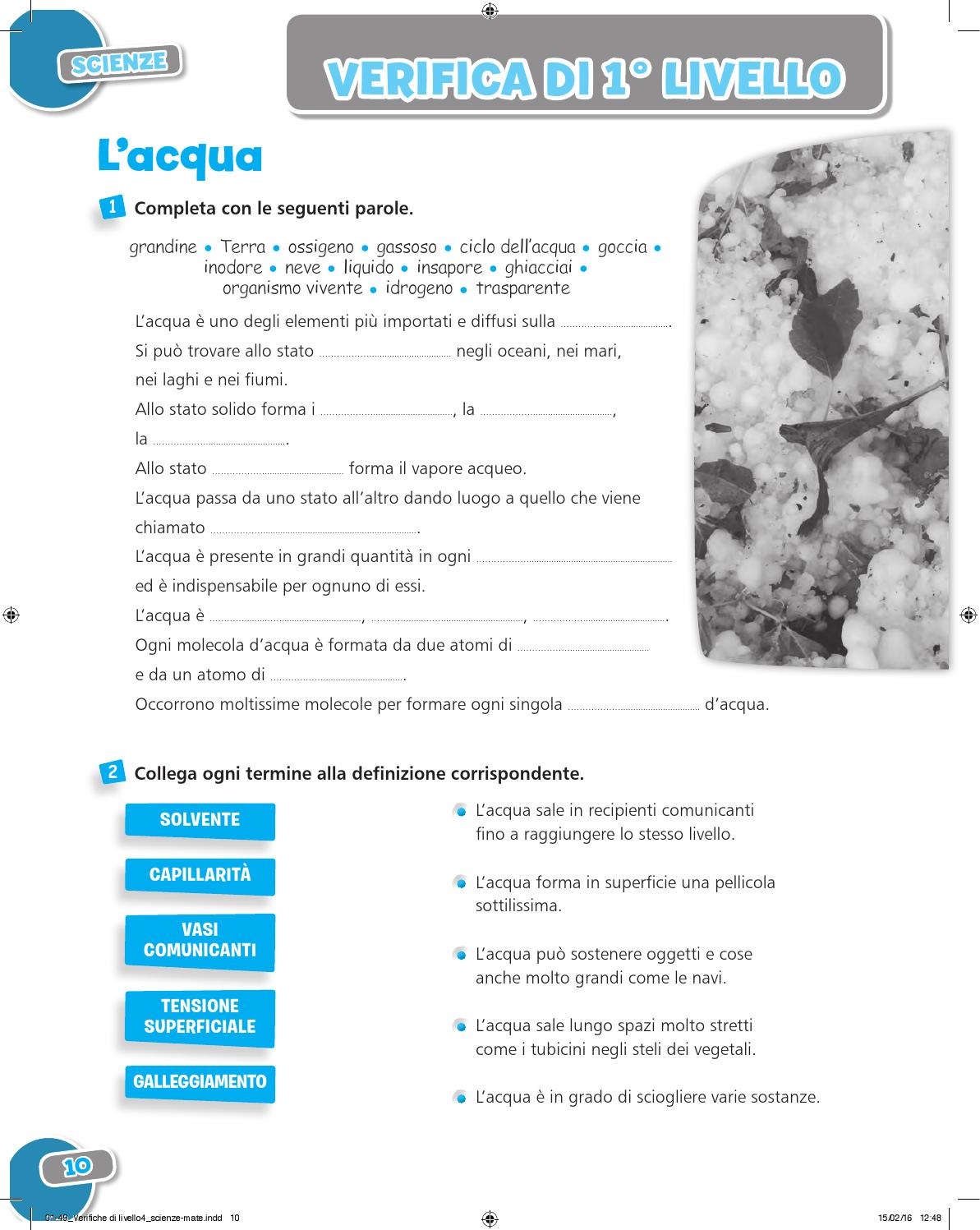 Verifica Scienze Prima Media Con Soluzioni