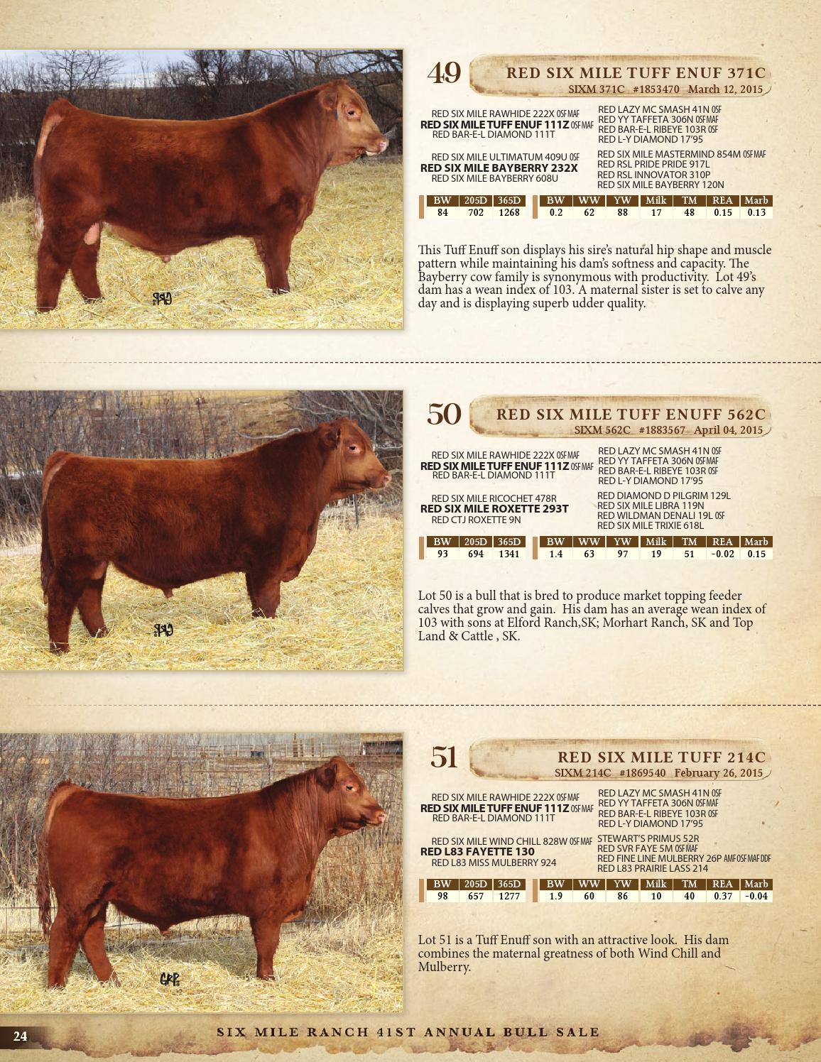 Six Mile Ranch 41st Annual Bull Sale 2016 By Bohrson Marketing