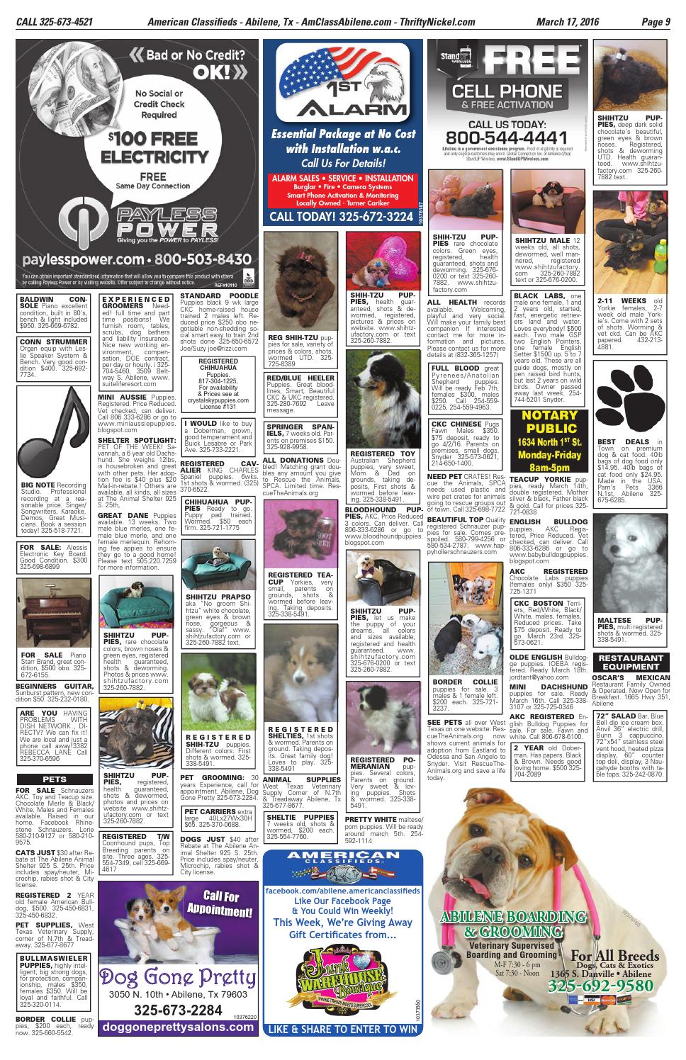 Cat Grooming Abilene Tx