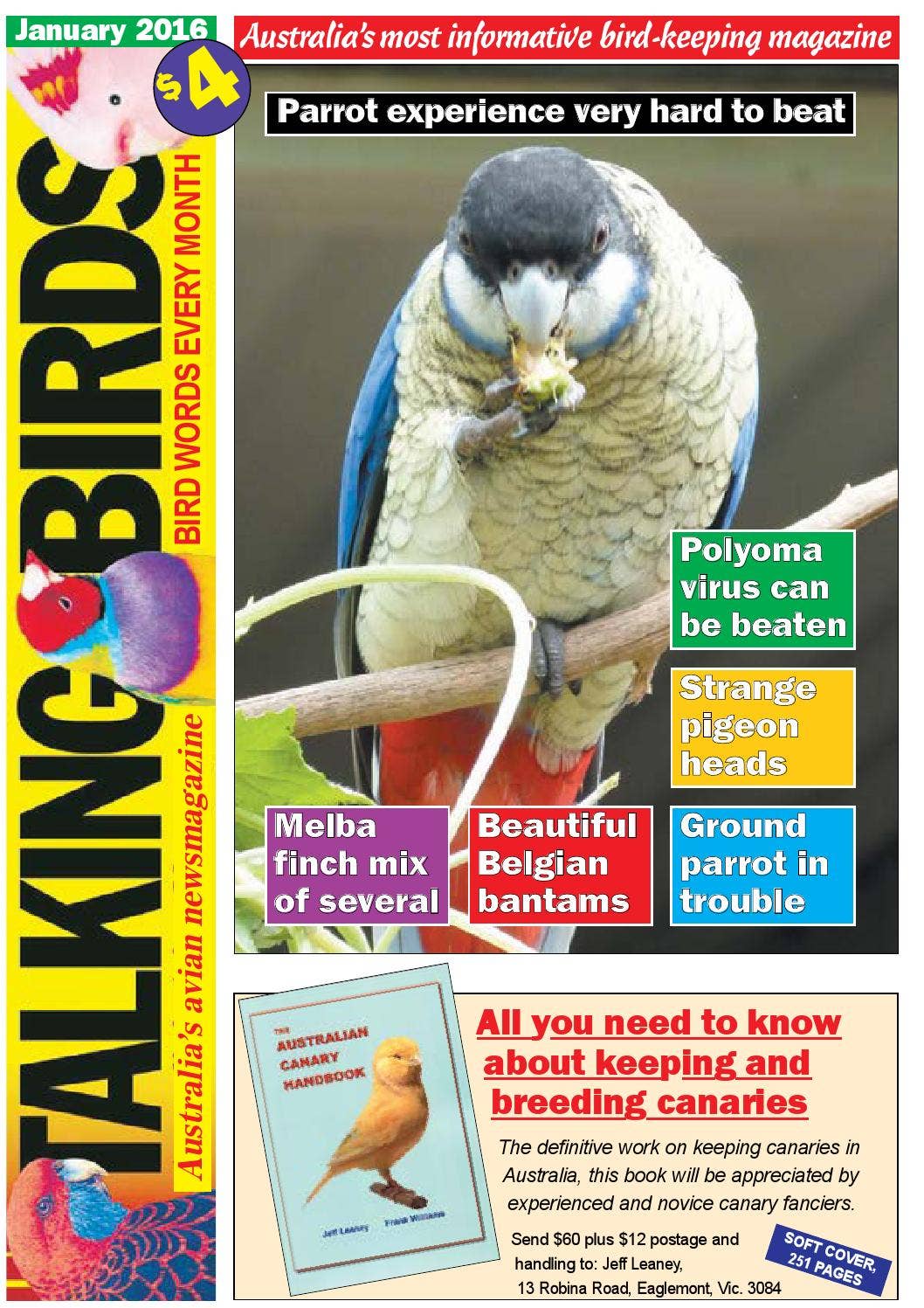 Talking Birds January 2016 by ICTimagelink - Issuu