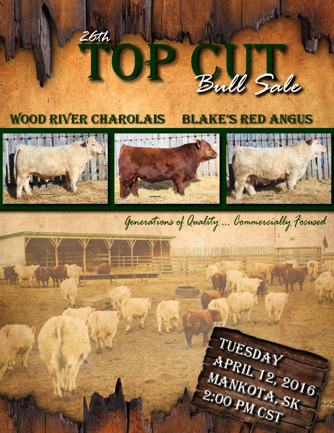 Top Cut Bull Sale by Livestock Media Plus - Issuu