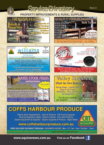 Page 41