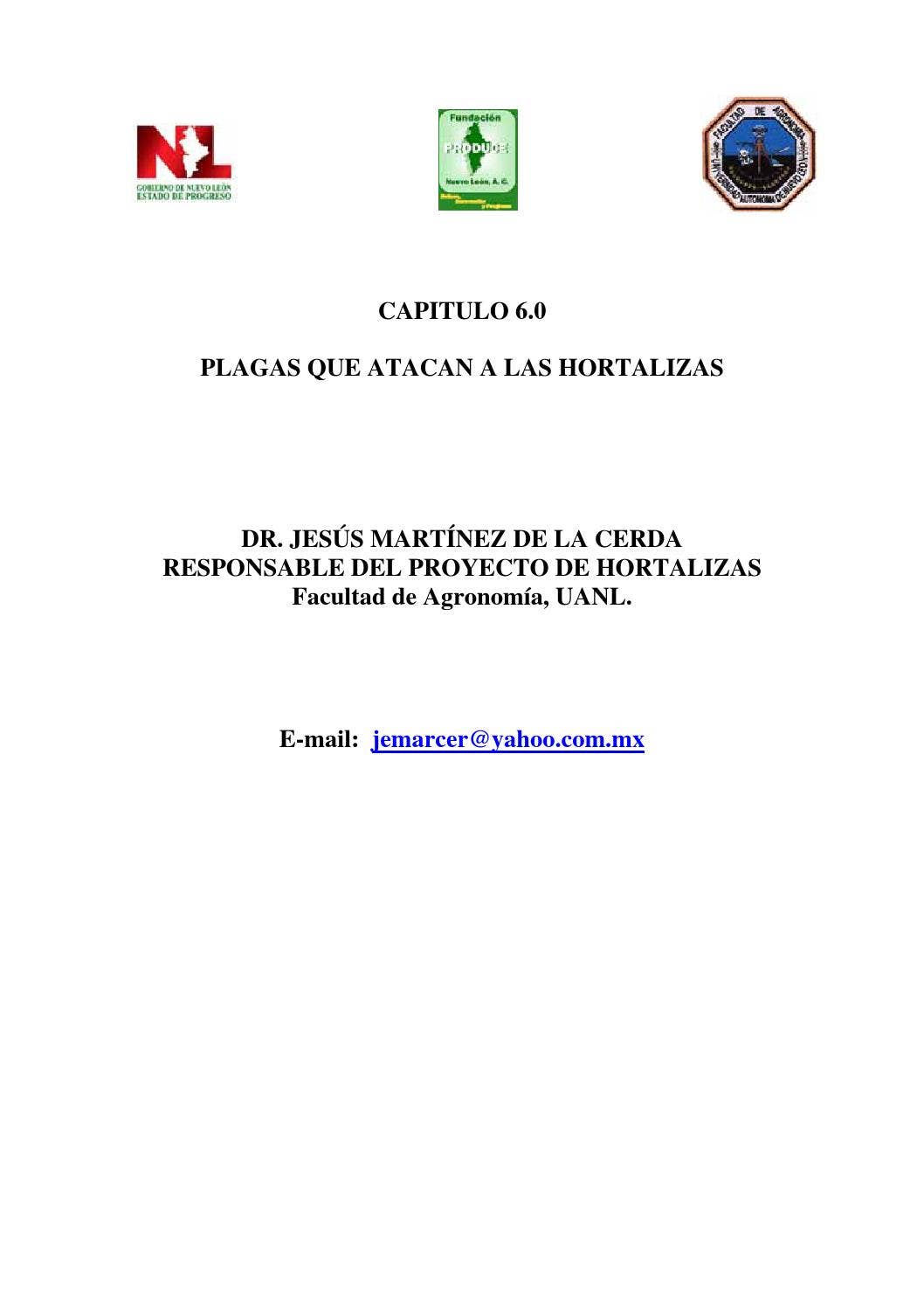 Issuu, image size:1058x1497