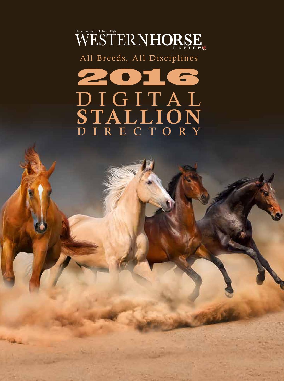 Western Horse Review 2016 Stallion Directory by Western Horse Review