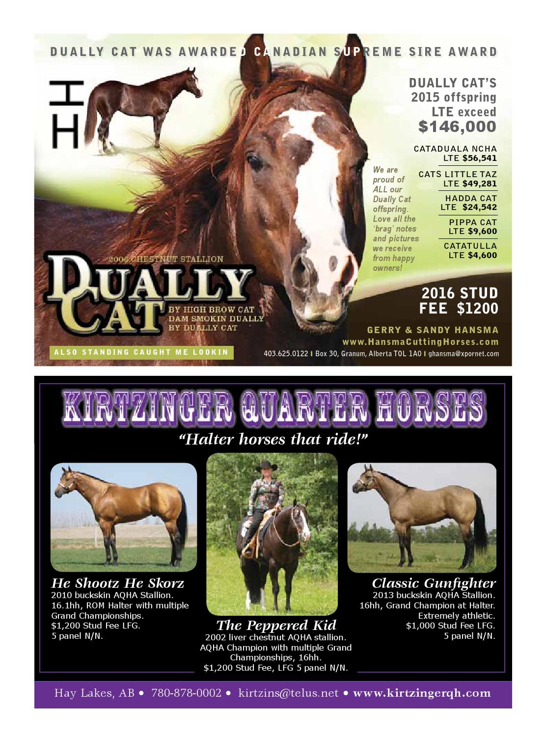 Western Horse Review 2016 Stallion Directory by Western Horse Review