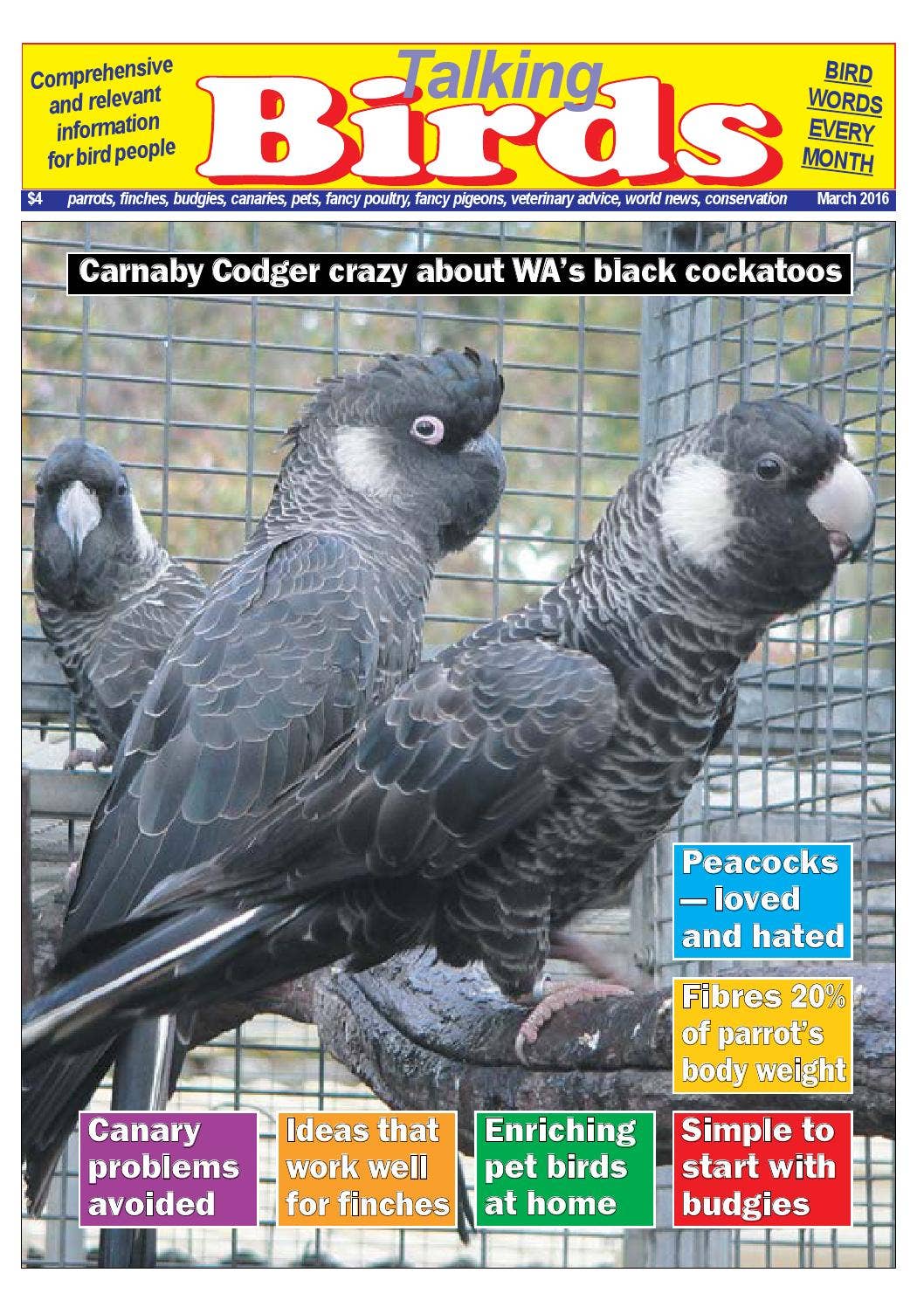 Talking Birds March 2016 Preview by ICTimagelink - Issuu