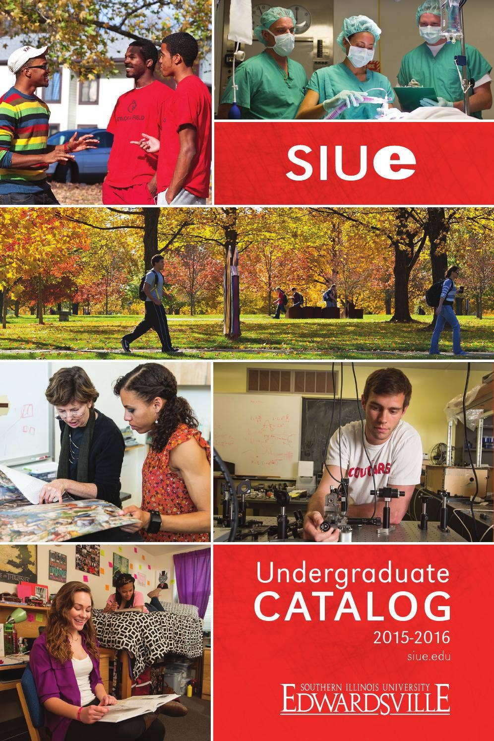 20152016 SIUE Undergraduate Catalog by SIUE Issuu
