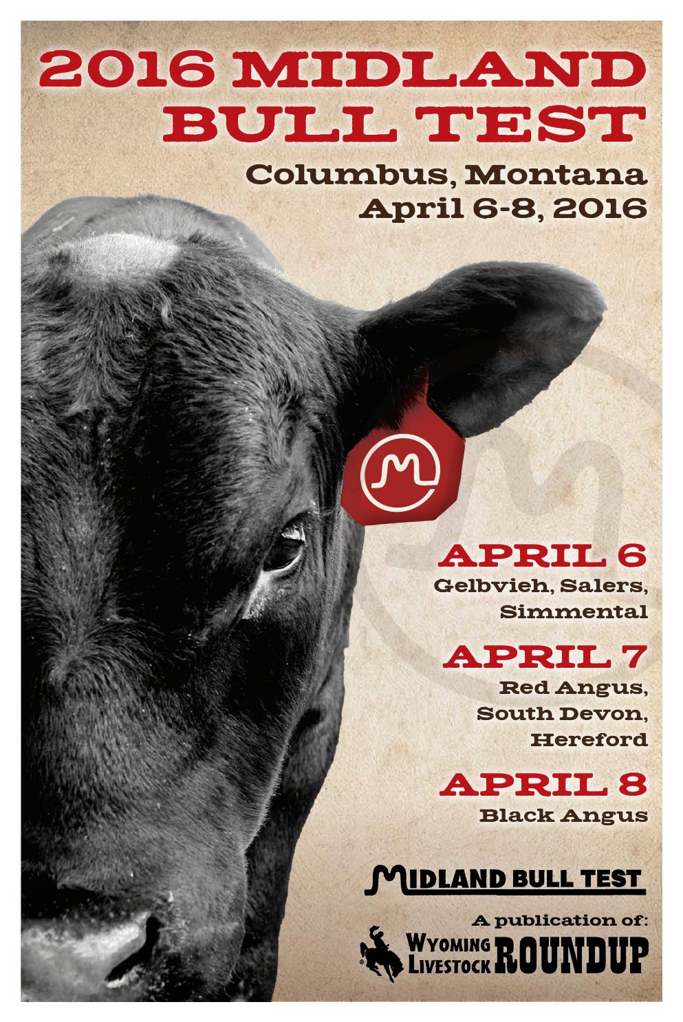 2016 Midland Bull Test by Wyoming Livestock Roundup Issuu
