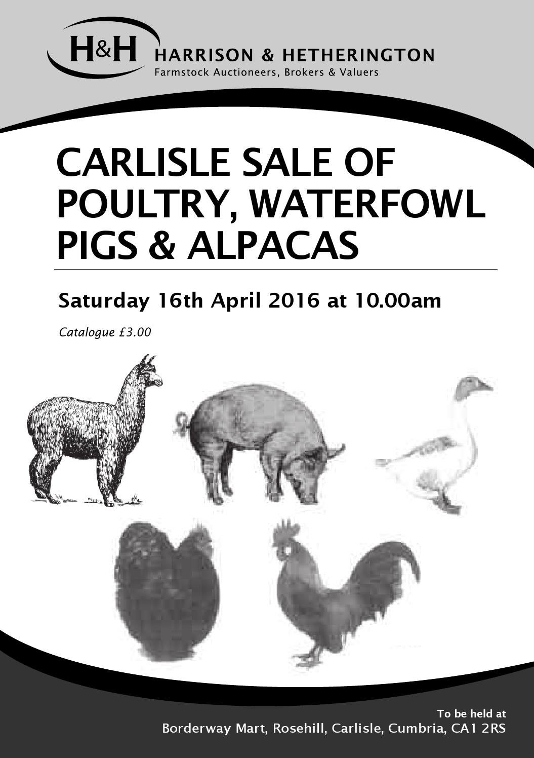 Carlisle Poultry, Waterfowl, Pig & Alpaca Sale 160416 by Harrison