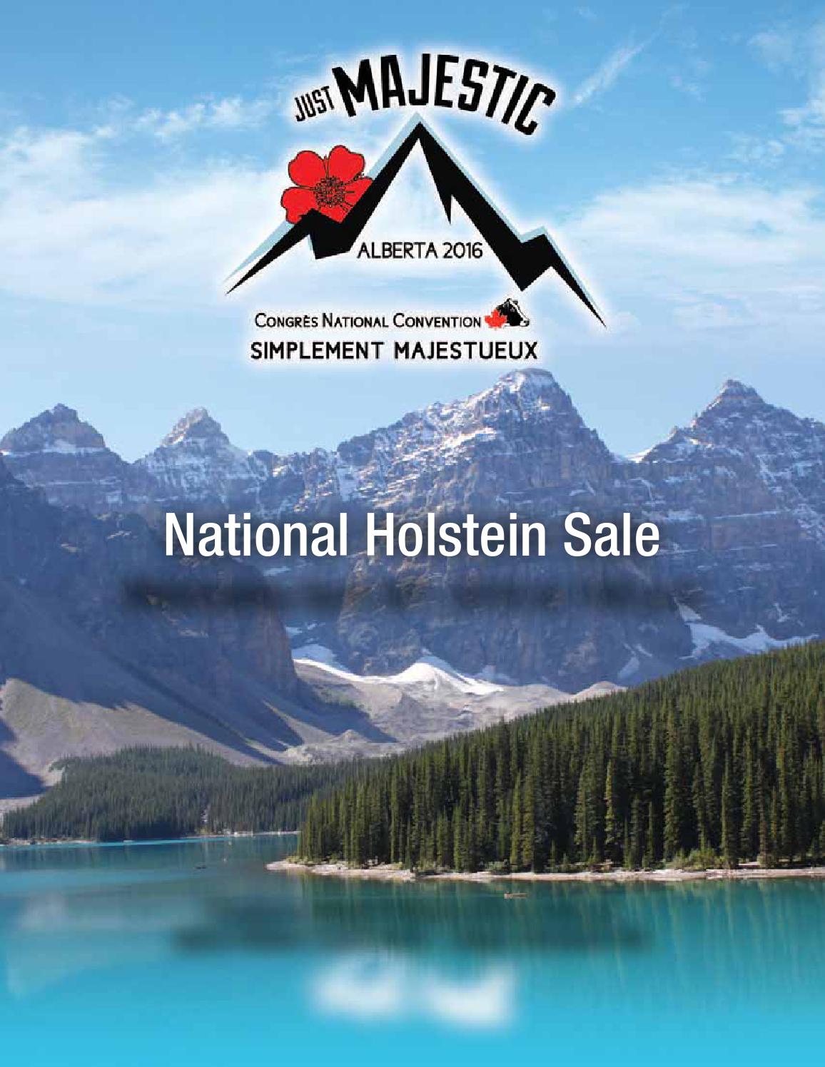 Canadian National Holstein Sale by Cowsmopolitan Issuu