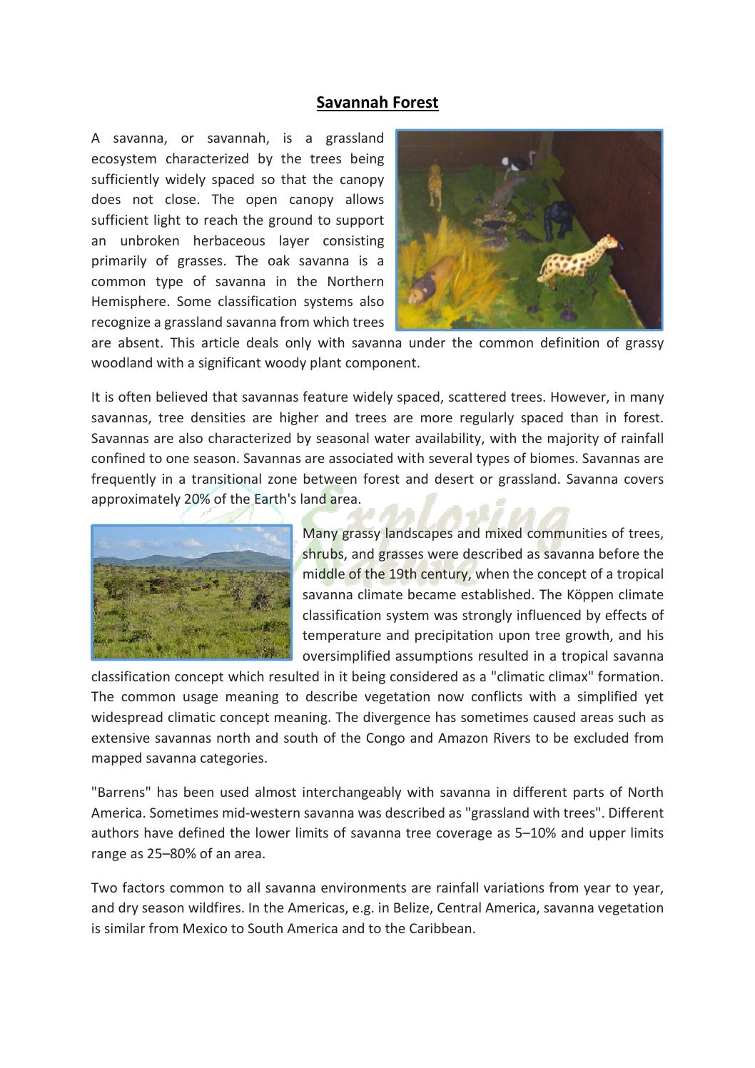 Savanna forest report by Exploring Nature - Issuu