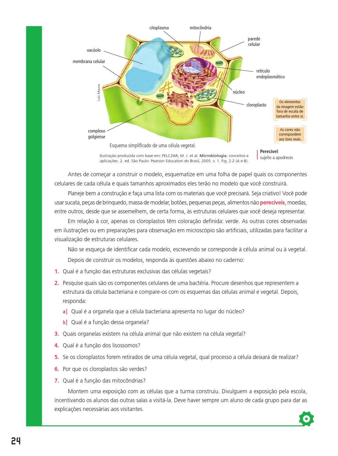8 ano ciencias novo pensar by FTD Educação - Issuu, image size:1106x1490