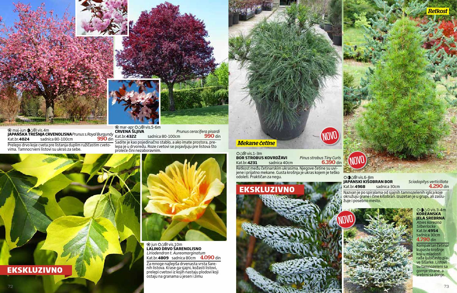 Flora ekspres katalog proleće 2016 by Catalog.rs Issuu