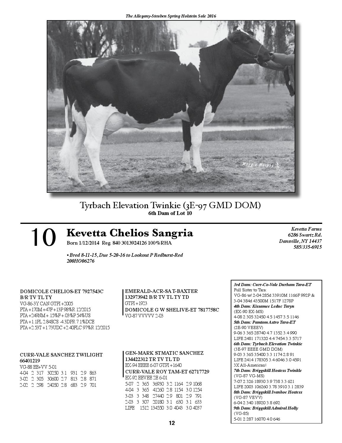 Allegany Steuben Spring Holstein Sale By Cowsmopolitan Issuu