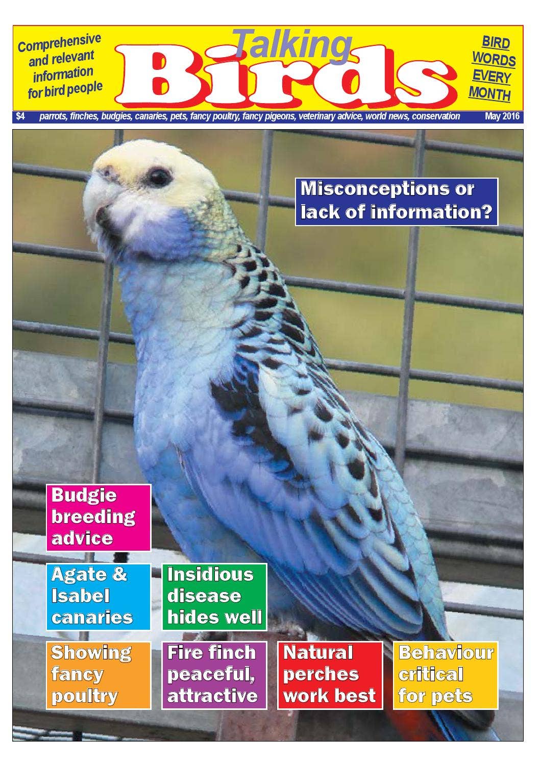 Talking Birds May 2016 Preview by ICTimagelink - Issuu