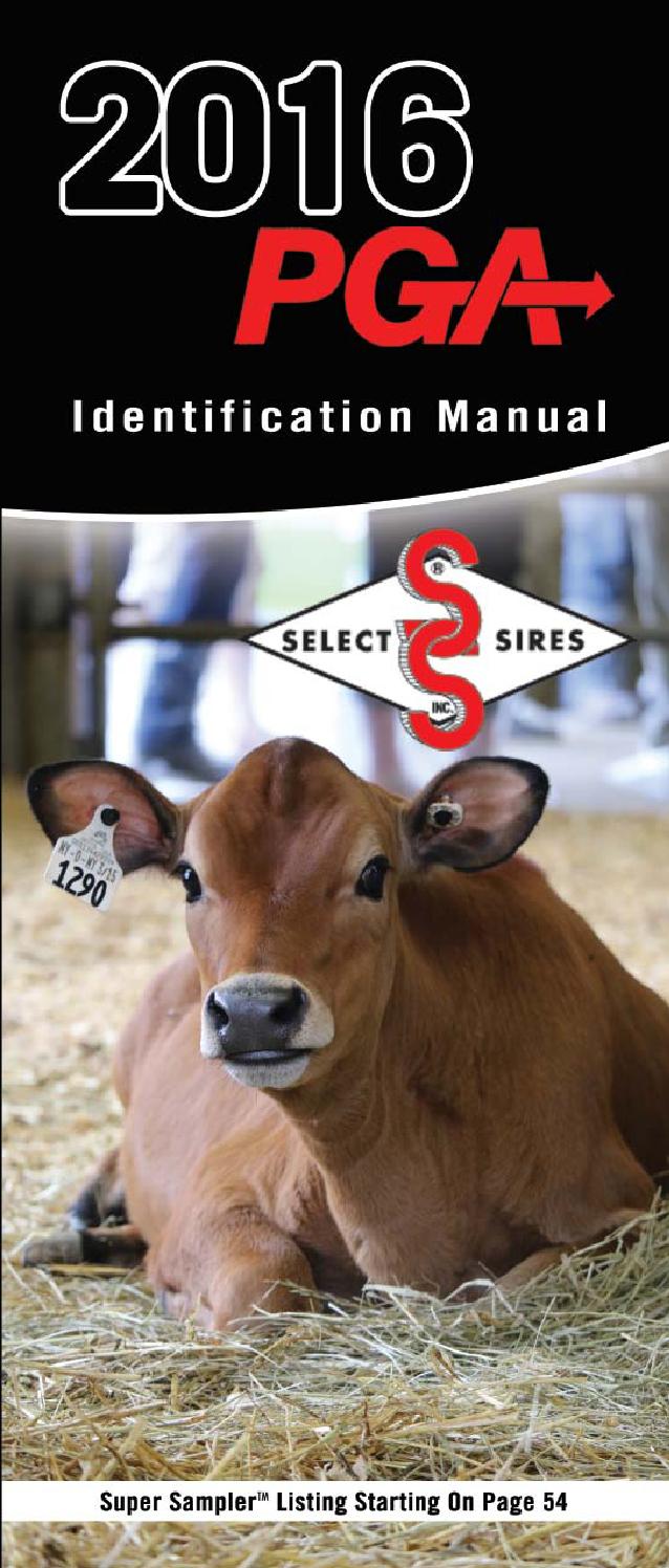 2016 Pga Identification Manual Select Sires Issuu