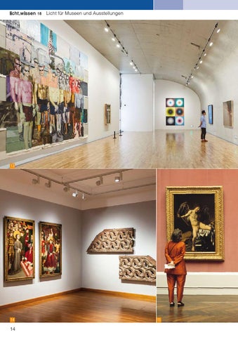 licht.wissen 18 „Licht für Museen und Ausstellungen" 第 14 页