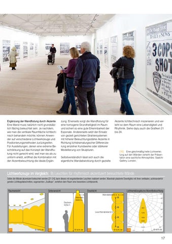 licht.wissen 18 „Licht für Museen und Ausstellungen" 第 17 页